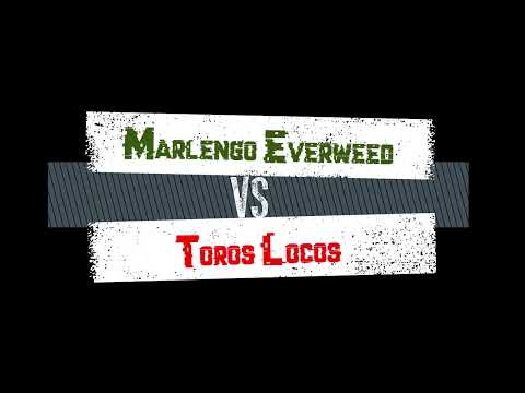 immagine di anteprima del video: Marlengo Everweed - Toros Locos